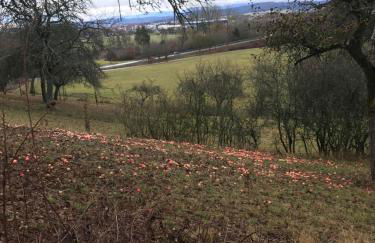 Souterrain Ferienwohnung - Foto 31