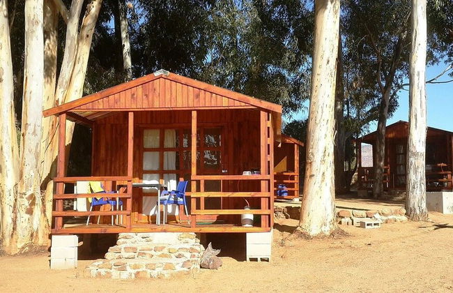 de Pakhuys - Foto 80