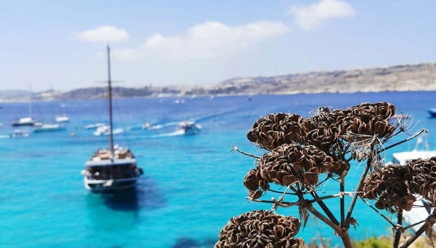 Disfrutaremos de una gran travesía mediterránea