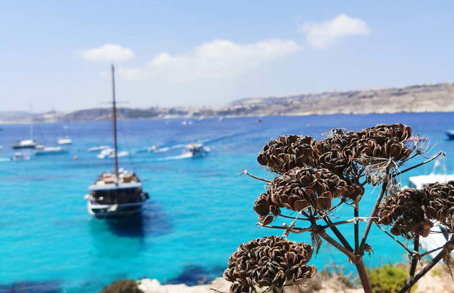 Paseo en goleta por las islas de Gozo y Comino - Foto 5