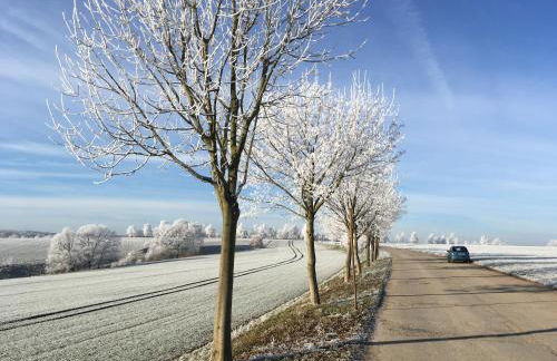 Haus Angermann - Foto 64