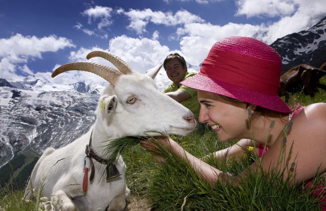 Haus Amedee - Foto 13