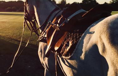 The Loft Midhurst - Foto 24