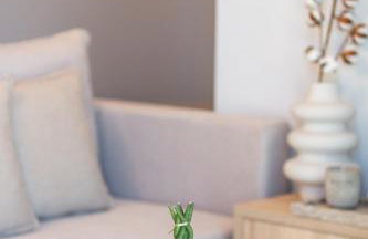 Flower Village - Foto 35