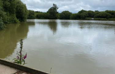Cosy north Devon lodge within Hartland forest - Foto 20