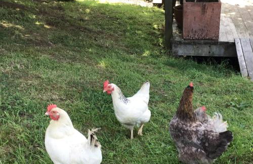 Lee house farm holiday cottage with possible use of hot tub ninety pounds a session - Foto 22