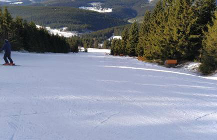 44 Śląska - Foto 8