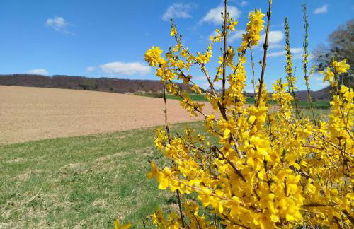Ferienwohnung am Ellerbach - Foto 75