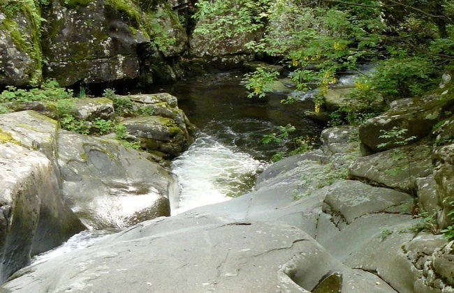 Tour in Castelfranco Piandiscò - Foto 1