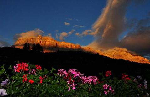 Ciasa Andy - Foto 15