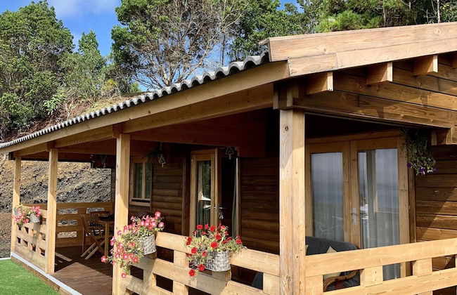 Pico Terrace - Photo 30