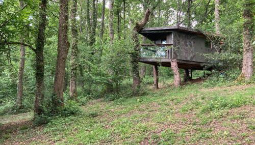 3 Guests - Pet Friendly - Grid Tree-House - Foto 2, Garden