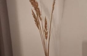 Acorn Hill Apartments - Foto 7