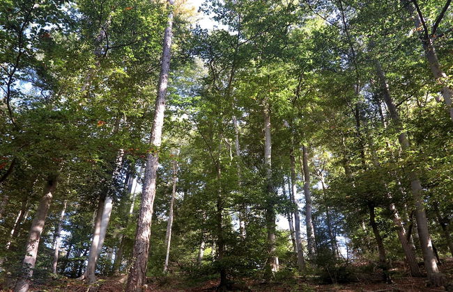 Quaint Apartment with Balcony in Bad Pyrmont near River - Foto 22