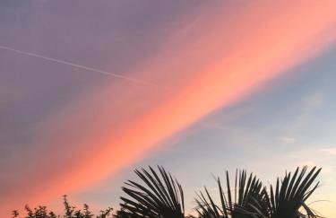 Apartments Gojević - Foto 15