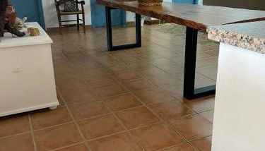 La casa del olivo - Photo 4