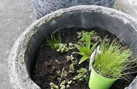 Anitas Landerlebnis - Foto 4