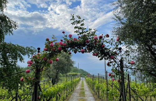 THE MONTEVECCHIA HOME - FRIDA APARTMENT - Foto 27