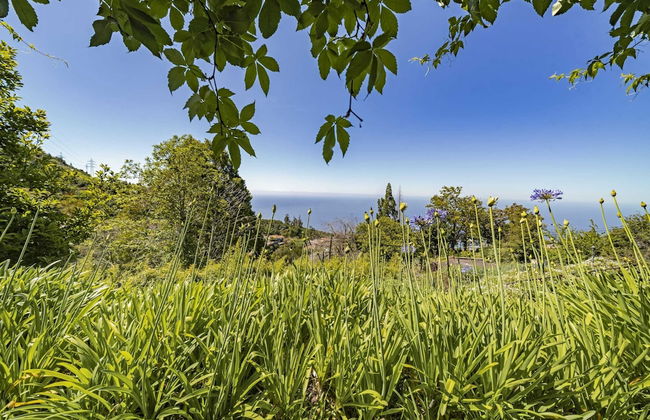 Quinta Devónia II - Tília by An Island Apart - Foto 23