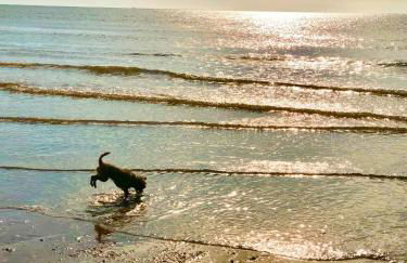 Sea Breeze Holiday Chalet - Foto 11