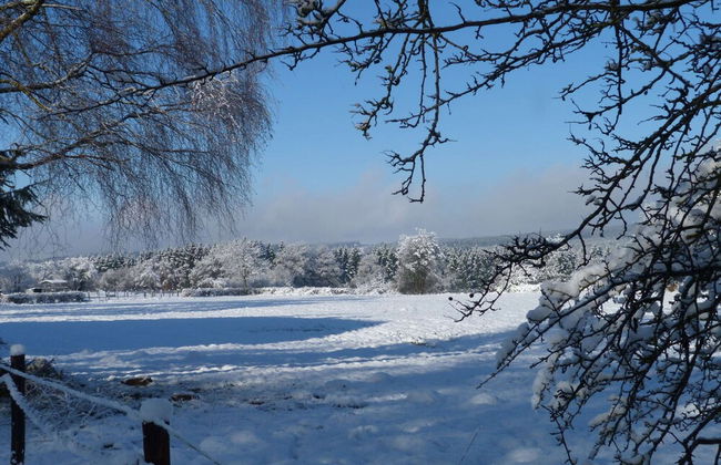 Cozy Chalet With Pond, Malmedy - Foto 24