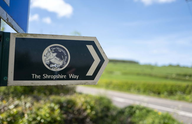 Courtyard Cottage - Photo 24