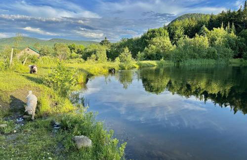Cozy Off-Grid Cabin with Breathtaking Serene Views for a Peaceful Getaway Surrounded by Nature in Barton, Vermont - Foto 20