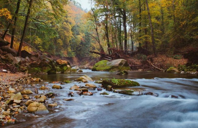 Cosy, 1800 Farmhouse With Sauna - Foto 39