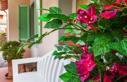 Hostly Villa Letizia, Charme near Pisa - Foto 53