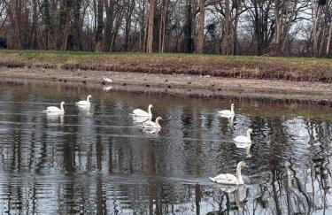 Nice tourist apartment - Foto 6