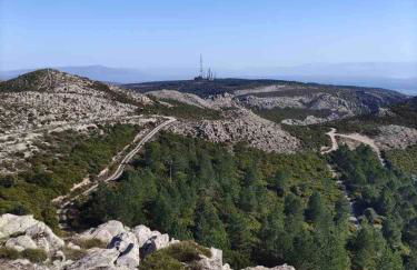 Ale house experience - Foto 10