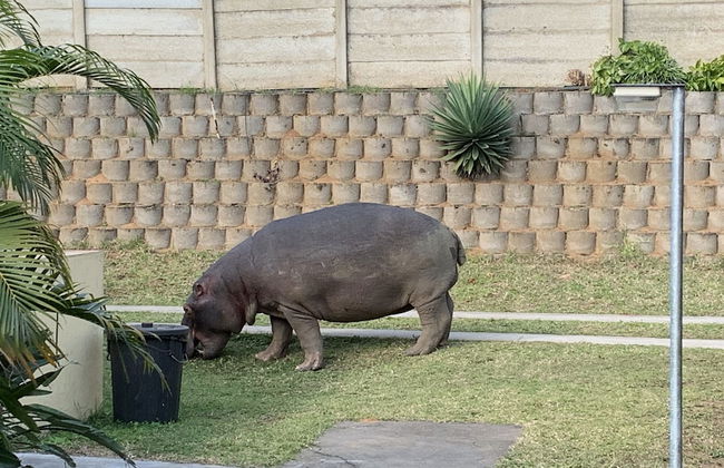 17 Manzini Holiday Resort - Foto 21