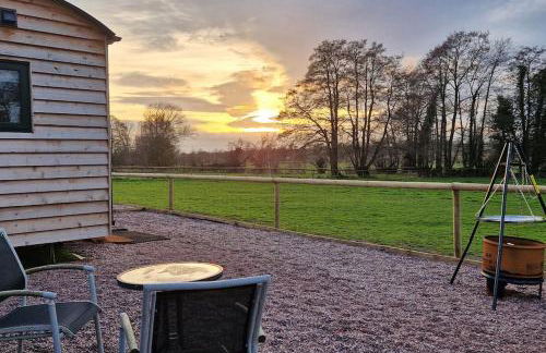 Cosy Owl - Shepherds Hut - Foto 24