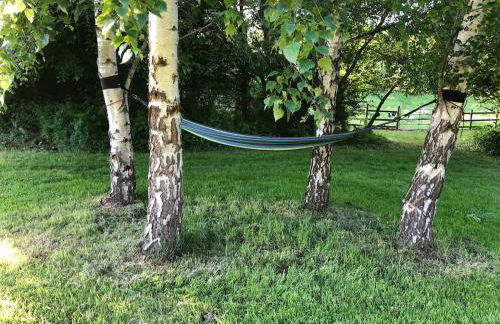 L hirondelle - Foto 30