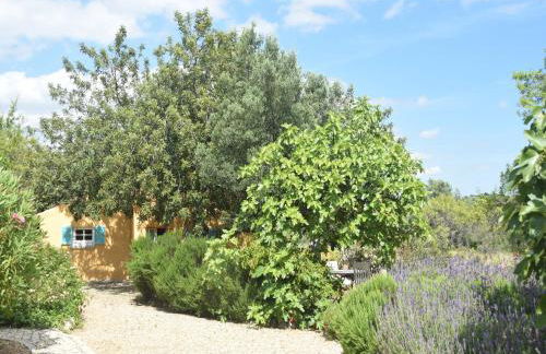 Attractive Portuguese Farm With Modern Decoration - Foto 11