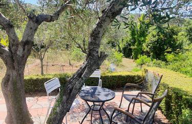 Family apartments Dominković - Photo 8