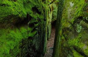 Ferienhaus Ellmi - Foto 20