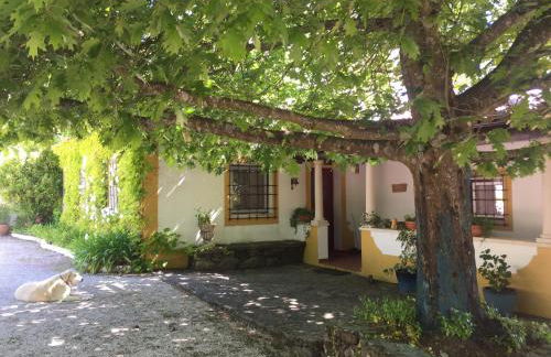 Quinta do Troviscal - Foto 49