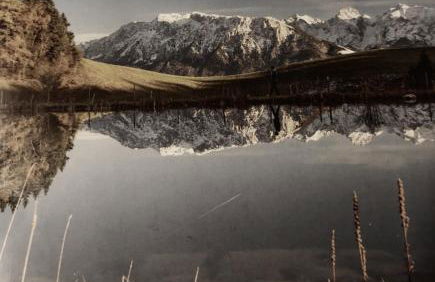 Berggasthof Bichlersee - Foto 37