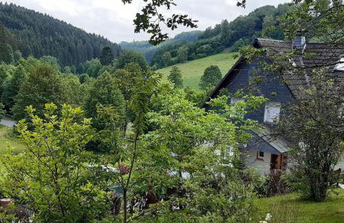 Ferienhaus Maag, 102qm - Photo 6