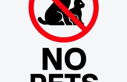 Apartments Orlić - Self check-in with code, WI-FI, Netflix, smart TV, garden, terrace - Photo 3