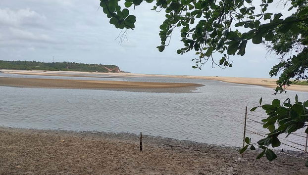 Buggy Tour Along the South Coast of Paraíba - Foto 4