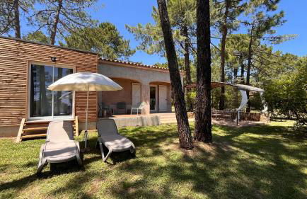 Domaine de Pianiccia - Foto 65