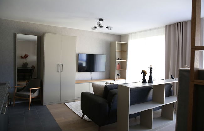 Lamira Serviced Apartments Zurich City - Foto 38