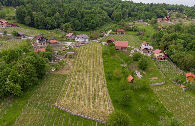 Vineyard Homestead Vrtin - Foto 37