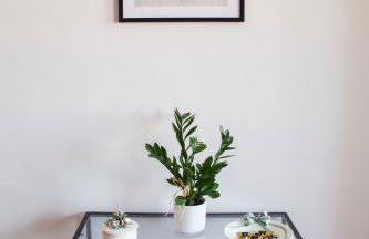 Appartment Navacchio Pisa 2B - Foto 29