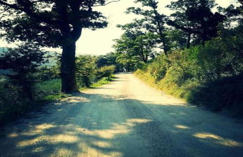 Elegant apartment in resort with swimming pool featuring nature and tranquillity - Foto 53