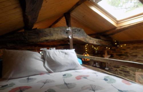 Cabaña Bioxana - Foto 18