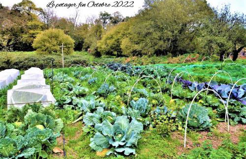 La Tiny House Terra Nostra - Foto 19