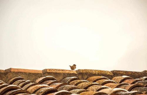 Casa Jarreta Centro Albarracin - Foto 30